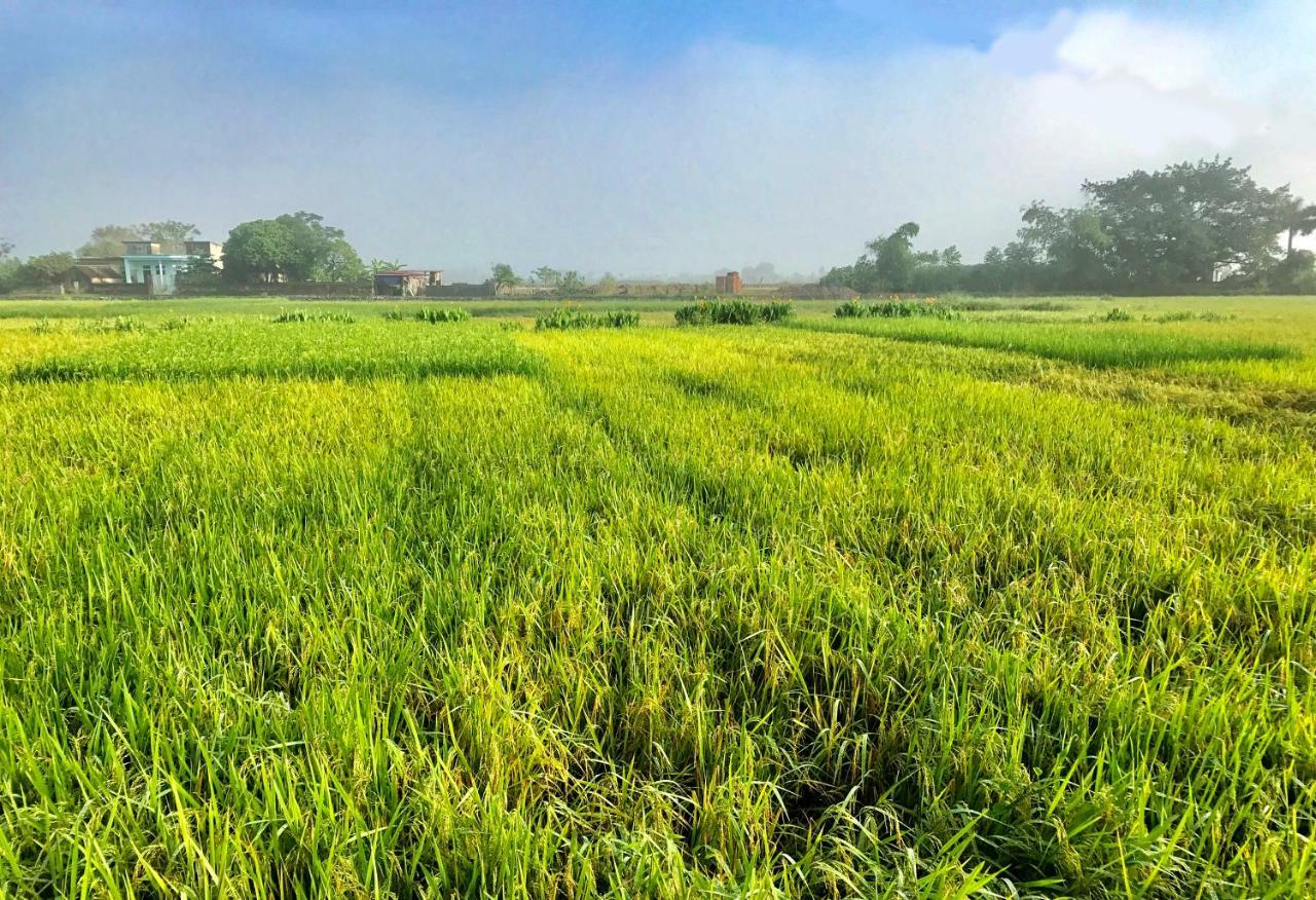 May Homestay - Tam Coc Local Village Ninh Binh Dış mekan fotoğraf