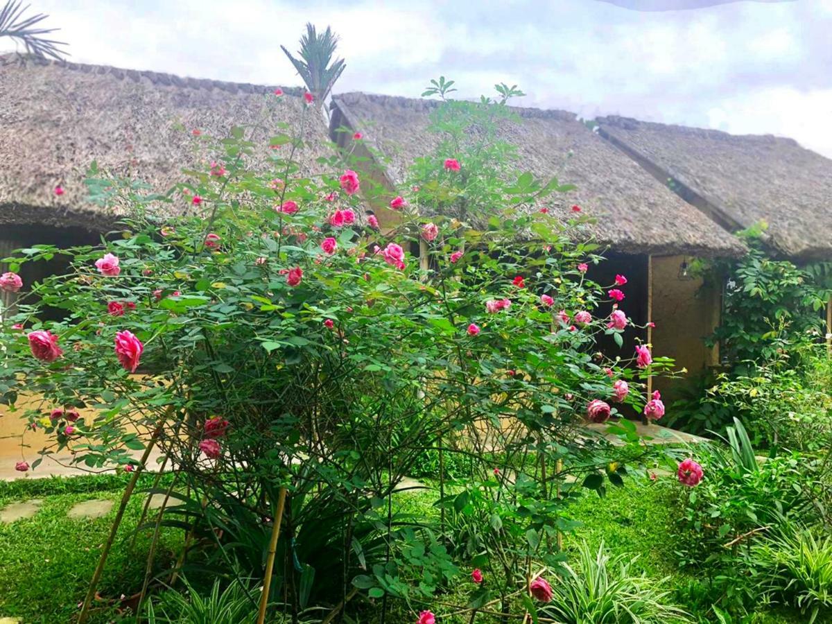 May Homestay - Tam Coc Local Village Ninh Binh Dış mekan fotoğraf